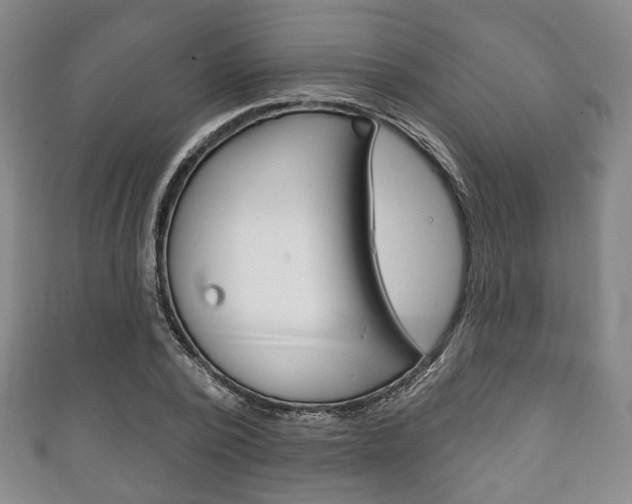X0000111240784200907020958