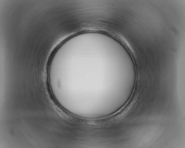 X0000111240787200907020958