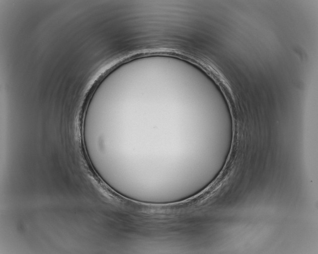 X0000111240789200907020958