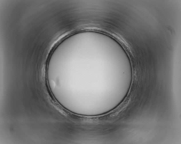 X0000111240790200907020958