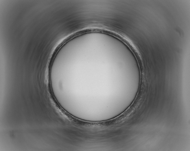 X0000111240791200907020958