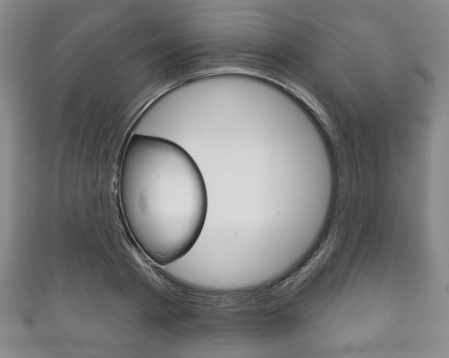 X0000111240793200907020958