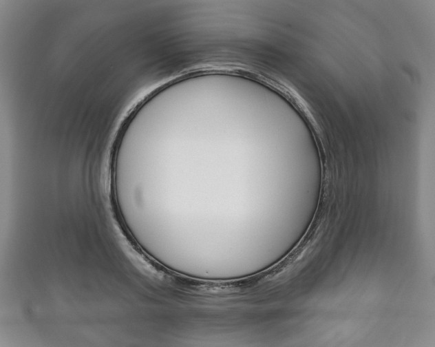 X0000111240795200907020958