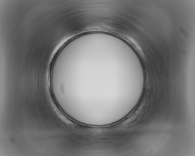 X0000111240796200907020958