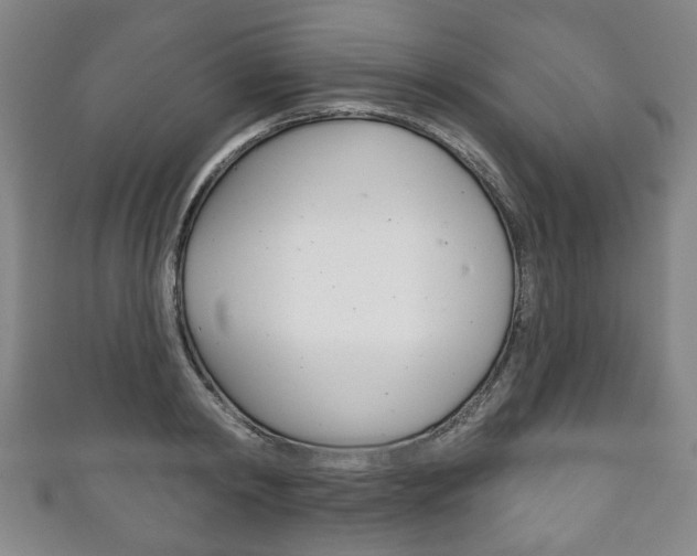 X0000111240798200907020958