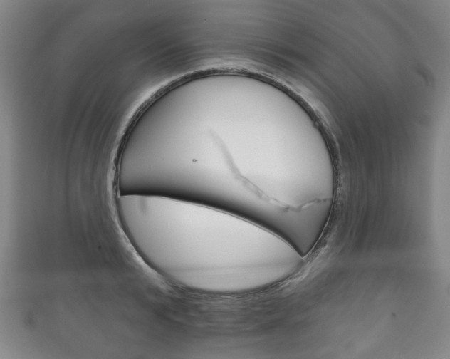 X0000111240799200907020958