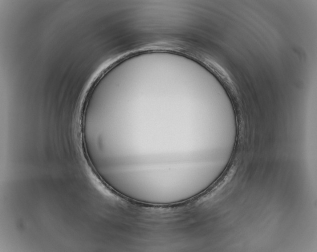 X0000111240800200907020958