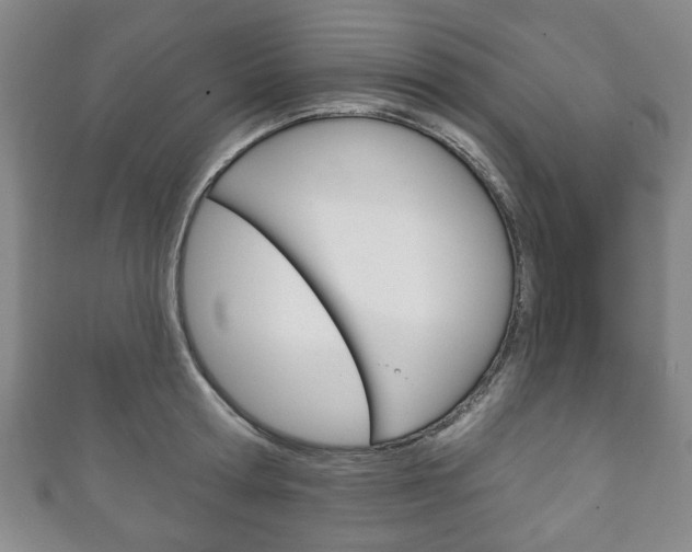 X0000111240802200907020958