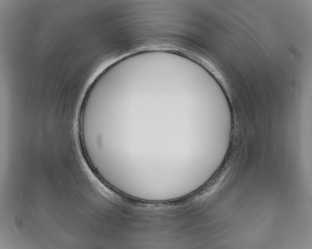 X0000111240803200907020958