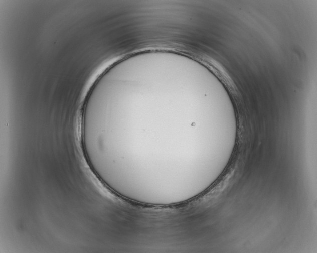 X0000111240804200907020958