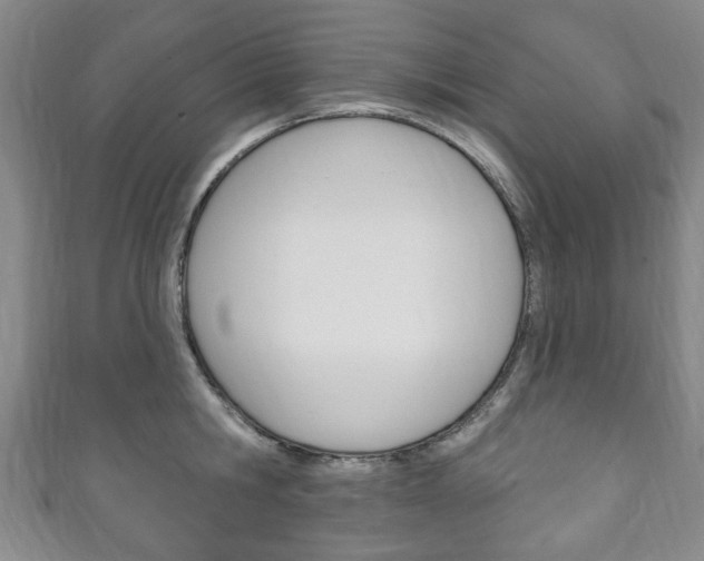 X0000111240806200907020958