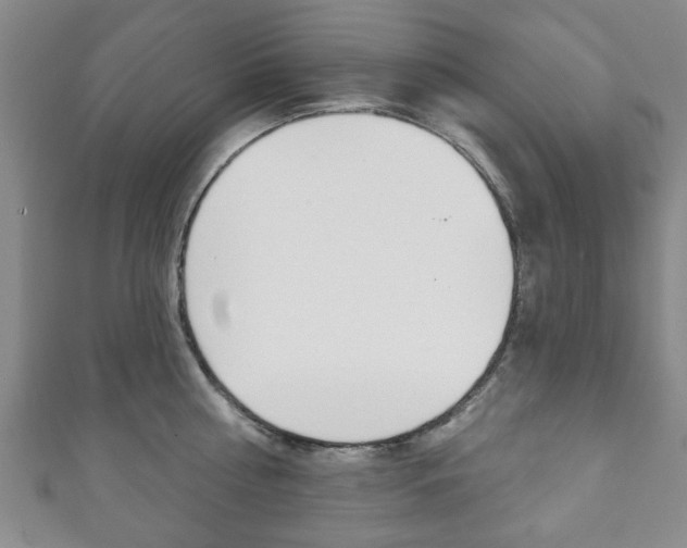 X0000111240810200907020958