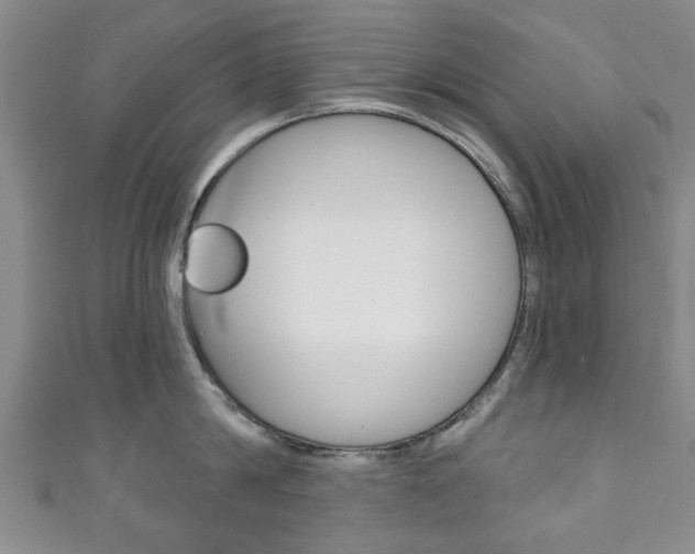 X0000111240814200907020957