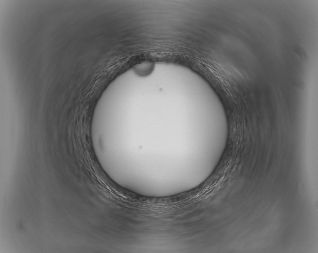 X0000111240817200907020957