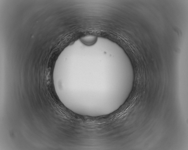 X0000111240818200907020957