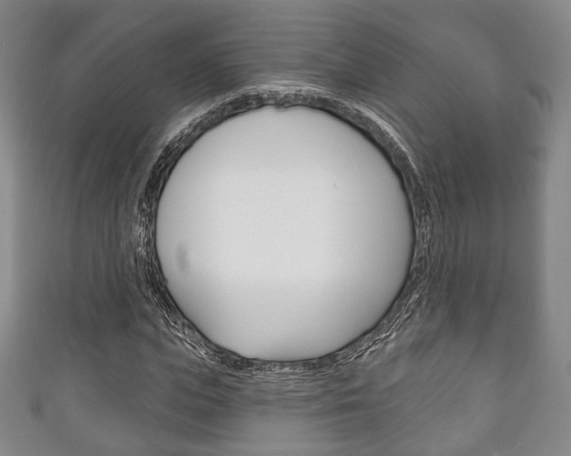 X0000111240823200907020957