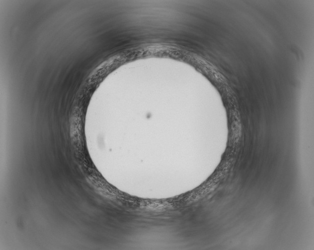 X0000111240824200907020957