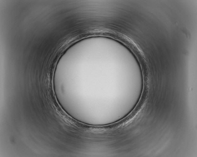 X0000111240825200907020957