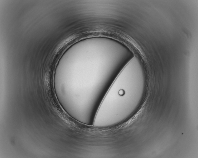 X0000111240826200907020957
