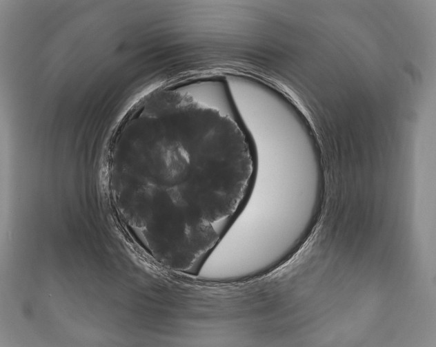 X0000111240827200907020957
