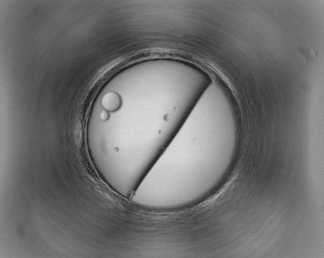 X0000111240829200907020957