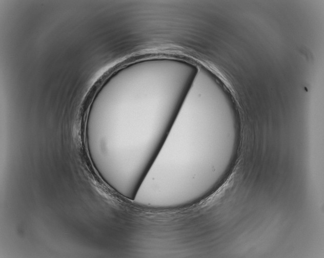 X0000111240830200907020957