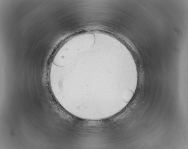 X0000111240832200907020957