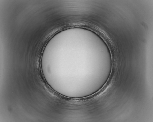 X0000111240833200907020957