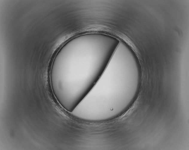 X0000111240834200907020957