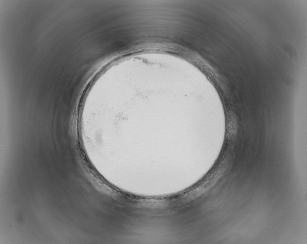 X0000111240836200907020957