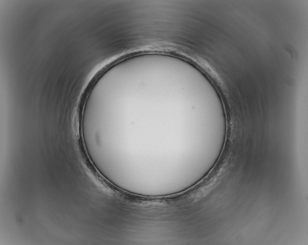 X0000111240838200907020957