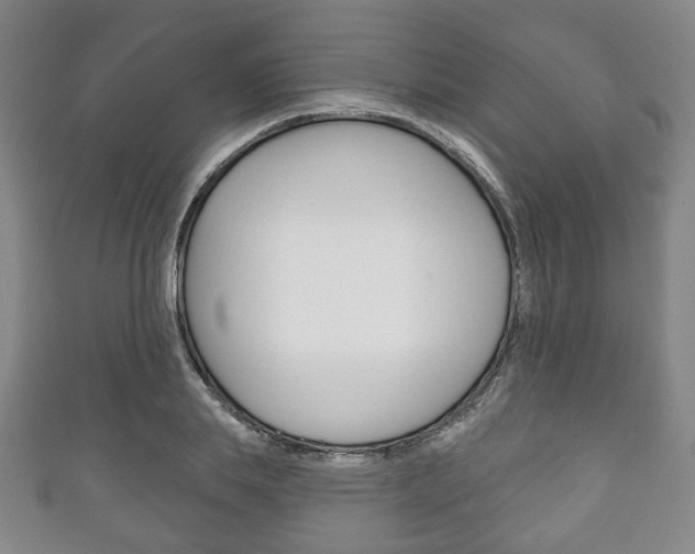 X0000111240839200907020957