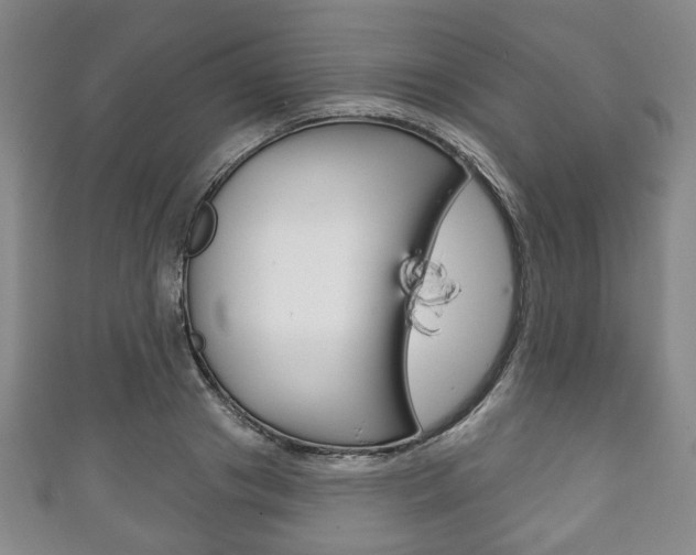 X0000111240841200907020957