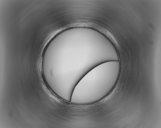 X0000111240844200907020957