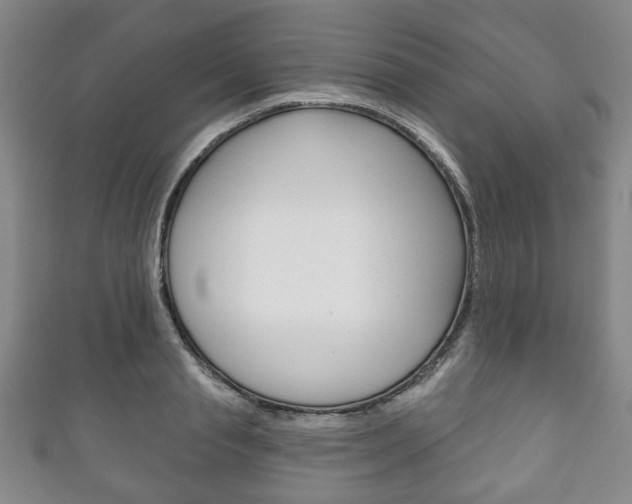 X0000111240845200907020957