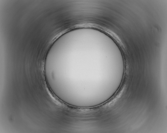 X0000111240849200907020957
