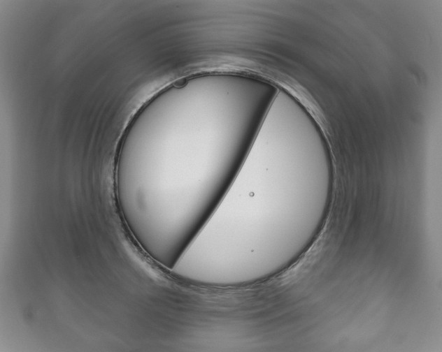 X0000111240850200907020957