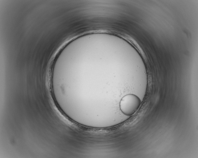 X0000111240851200907020957