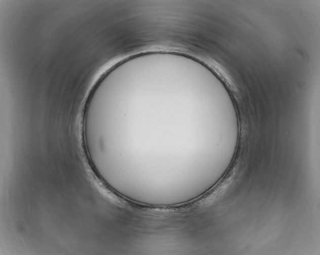 X0000111240854200907020957