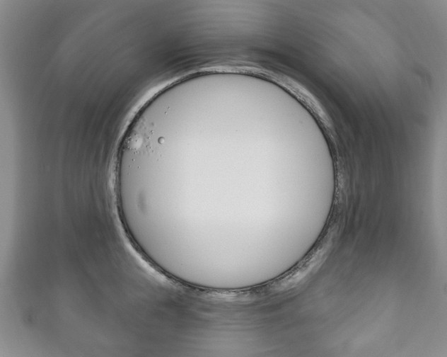 X0000111240855200907020957