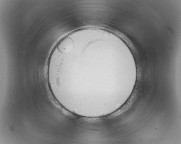 X0000111240856200907020957
