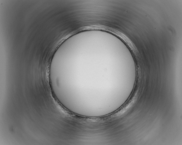 X0000111240857200907020957