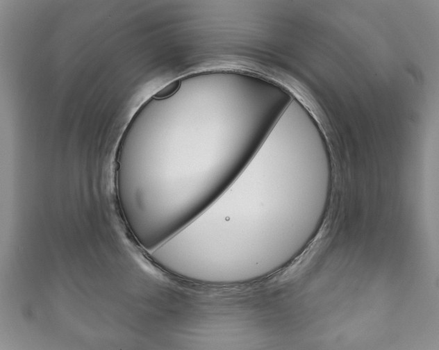X0000111240858200907020957