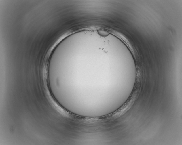 X0000111240859200907020957