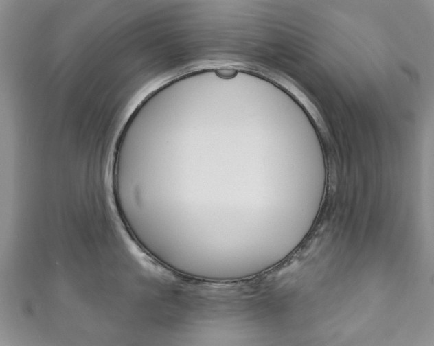 X0000111240861200907020957