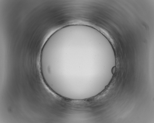 X0000111240863200907020957