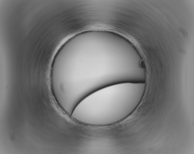 X0000111240864200907020957