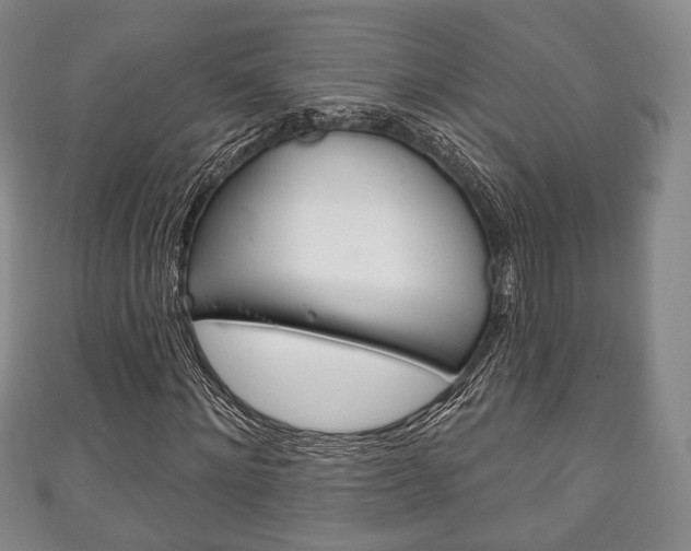 X0000111240868200907020957