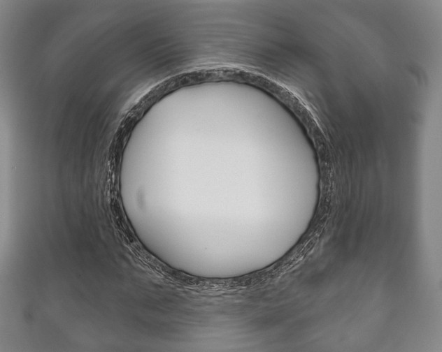 X0000111240871200907020957