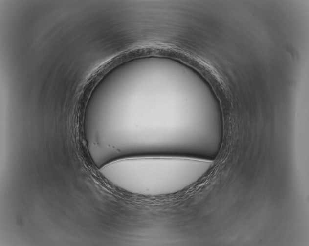 X0000111240872200907020957
